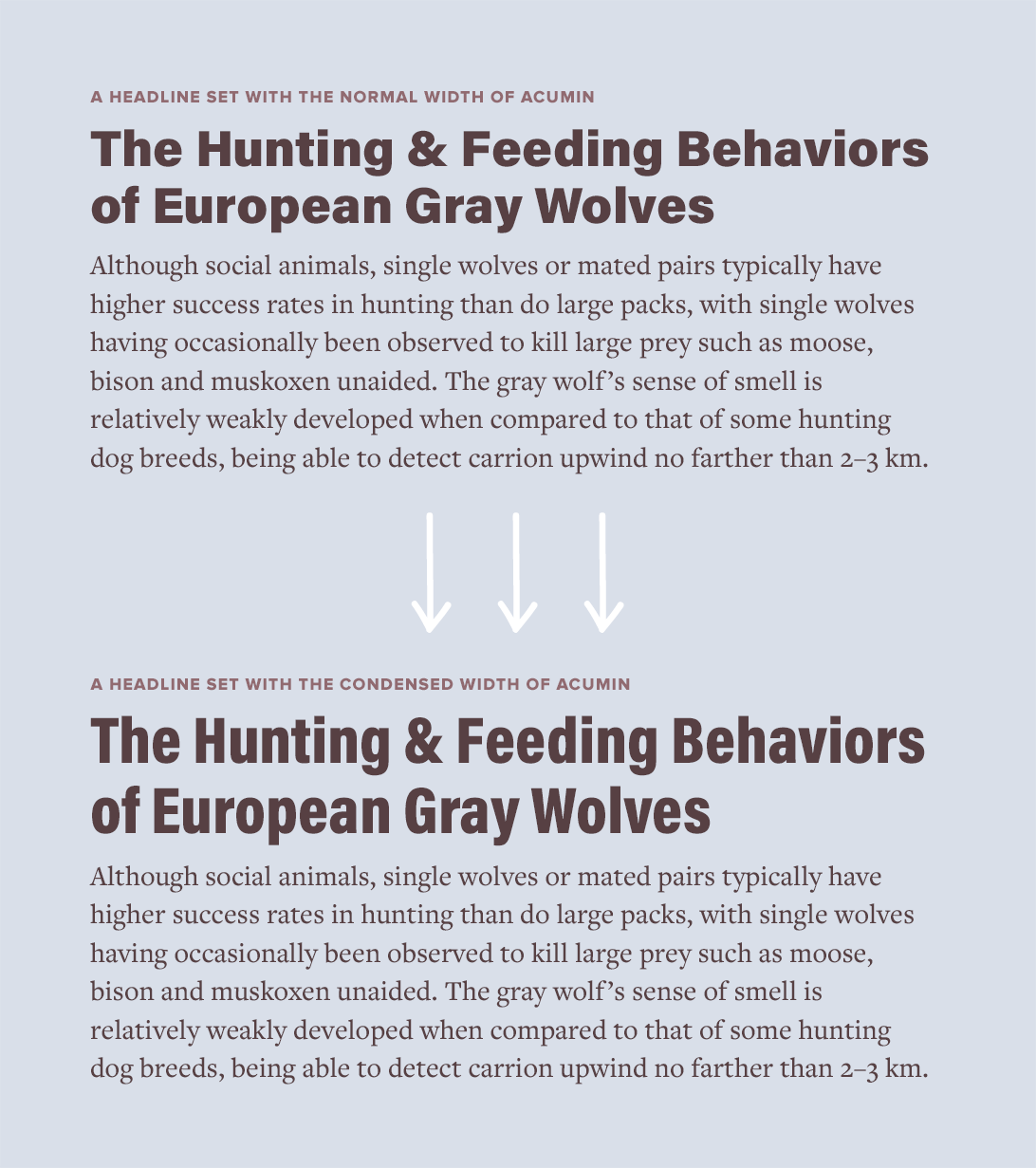 A headline set with the normal width of Acumin vs a headline set with the condensed width